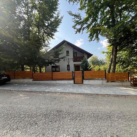 Casa De Vacanta Mogosa Baia-Sprie Buitenkant foto
