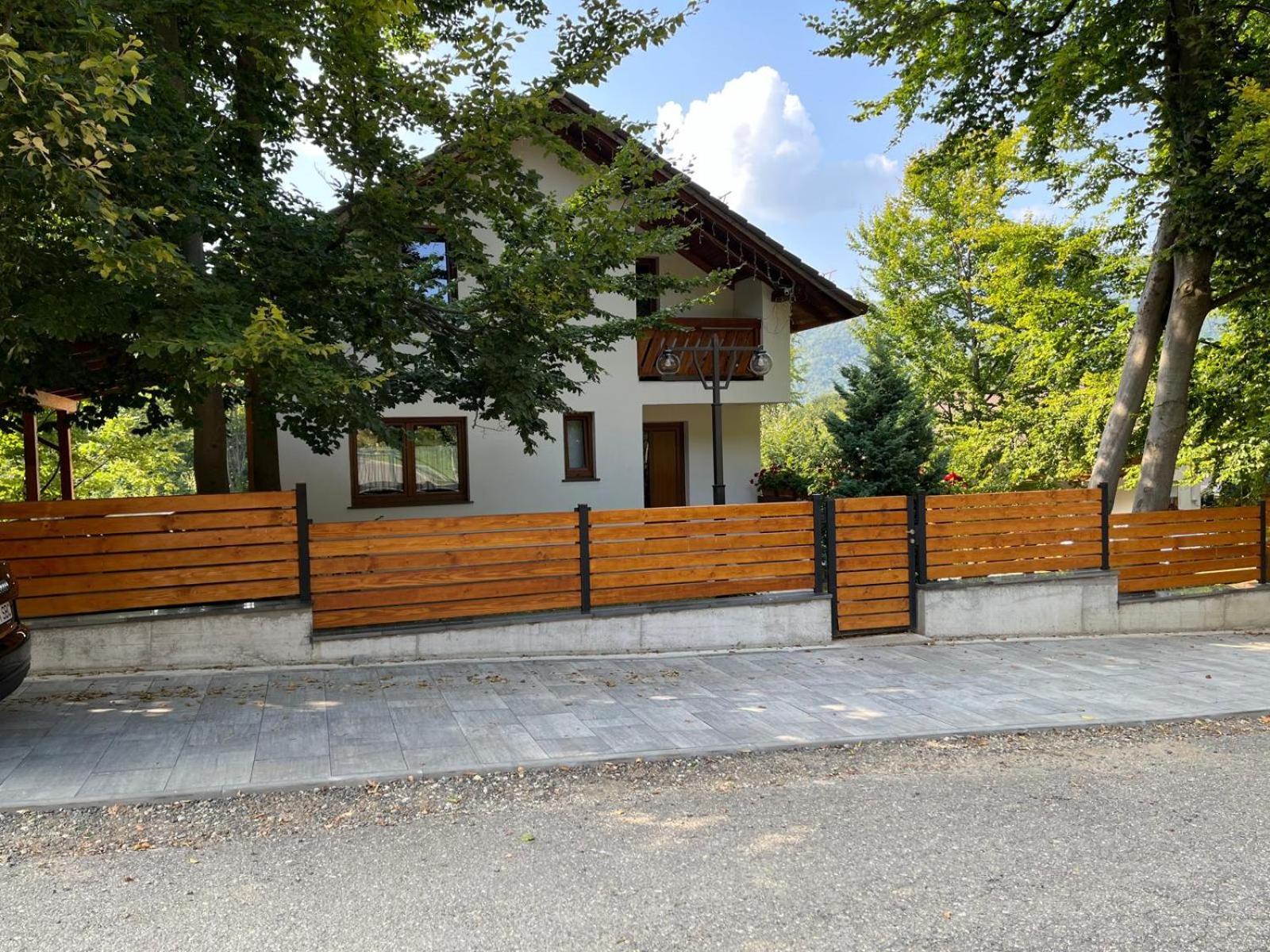 Casa De Vacanta Mogosa Baia-Sprie Buitenkant foto