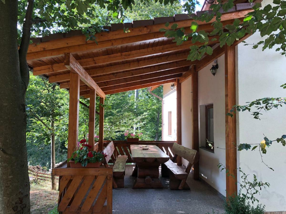 Casa De Vacanta Mogosa Baia-Sprie Buitenkant foto
